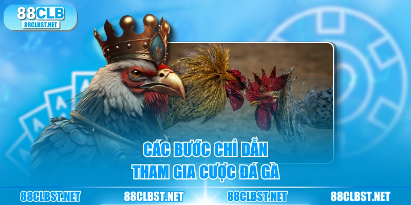 Các bước chỉ dẫn tham gia cược đá gà