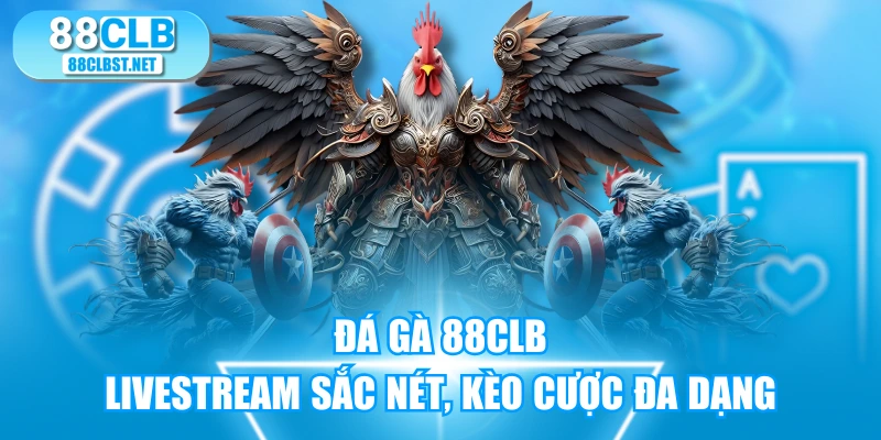 Đá Gà 88CLB - Livestream Sắc Nét, Kèo Cược Đa Dạng