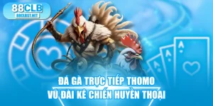 Đá Gà Trực Tiếp Thomo - Vũ Đài Kê Chiến Huyền Thoại