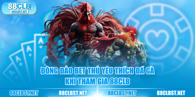 Đông đảo bet thủ yêu thích đá gà khi tham gia 88CLB