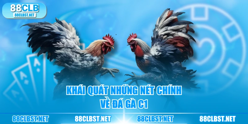 Khái quát những nét chính về đá gà C1