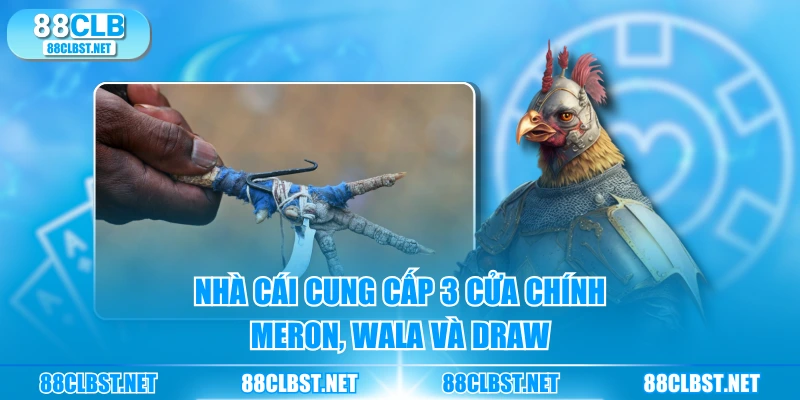 Nhà cái cung cấp 3 cửa chính Meron, Wala và Draw