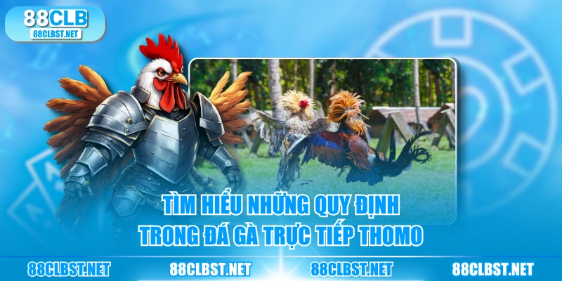 Tìm hiểu những quy định trong đá gà trực tiếp Thomo